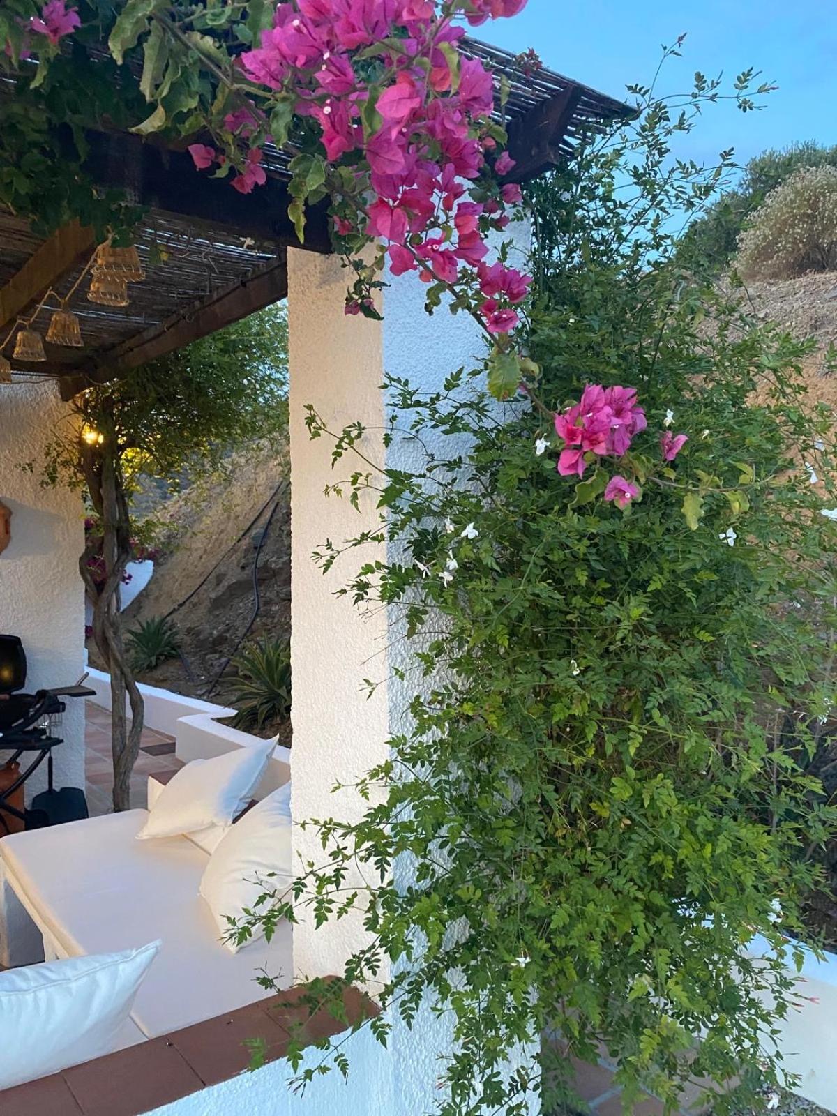 טורוקס Finca Angelita מראה חיצוני תמונה