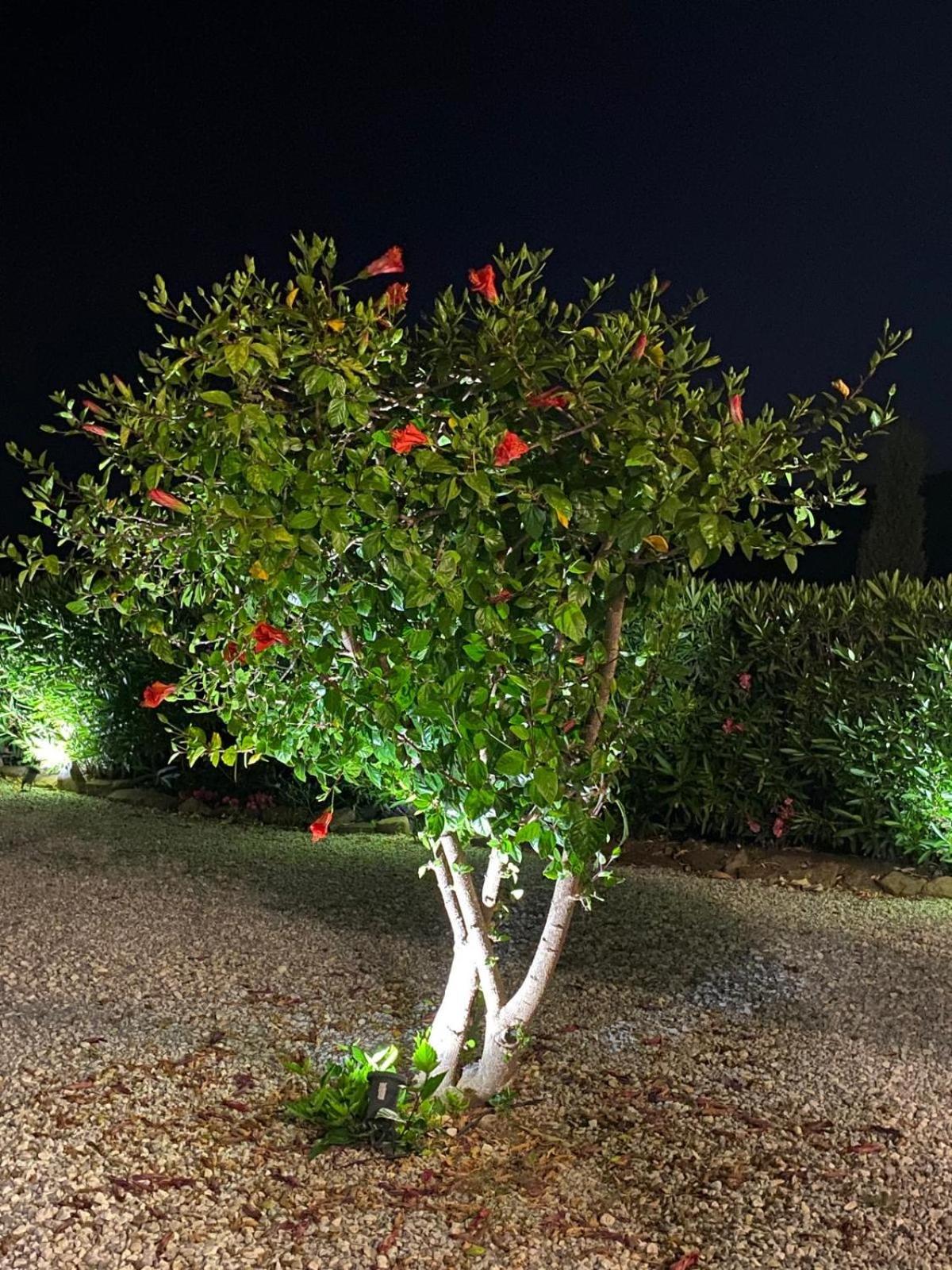 טורוקס Finca Angelita מראה חיצוני תמונה
