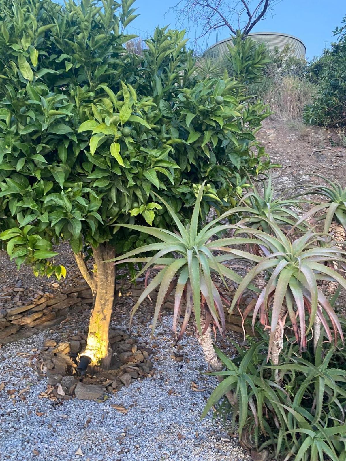 טורוקס Finca Angelita מראה חיצוני תמונה